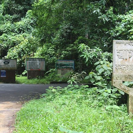 Green Palace Tea Resort Sreemangal Ngoại thất bức ảnh